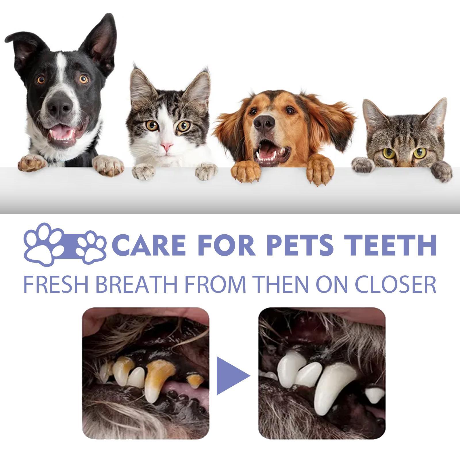 Yegebang™ Cat &amp; Dog Teeth Cleaning Spray