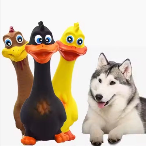 Quack’n’Play™ – Latex Screaming Duck Dog Toy