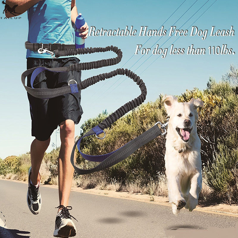 VelvetPaws™ RunMate™ Hands-Free Reflective Dog Leash Set