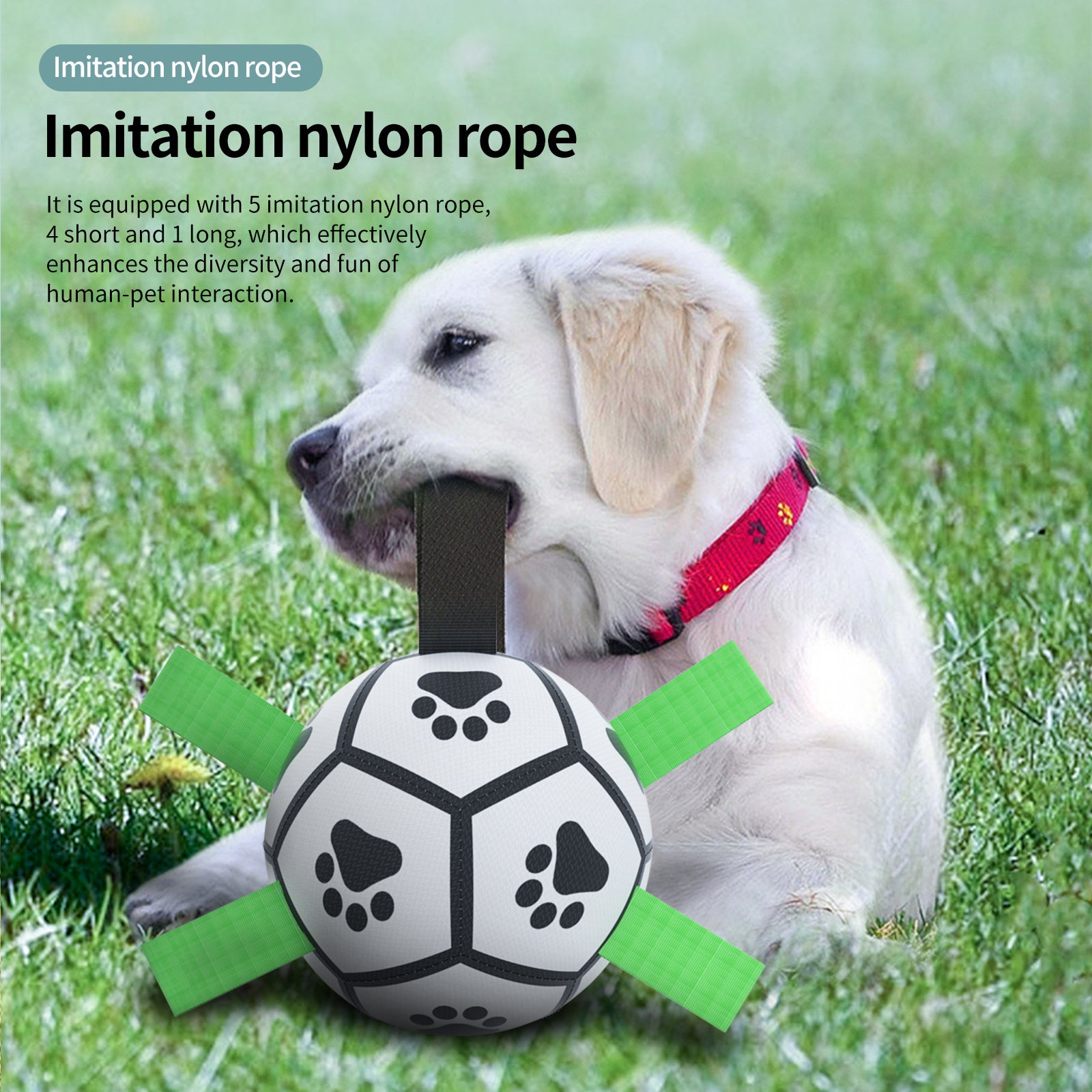 PawSoccer™ – Interactive Dog Football Toy, PU Training & Fetch Ball