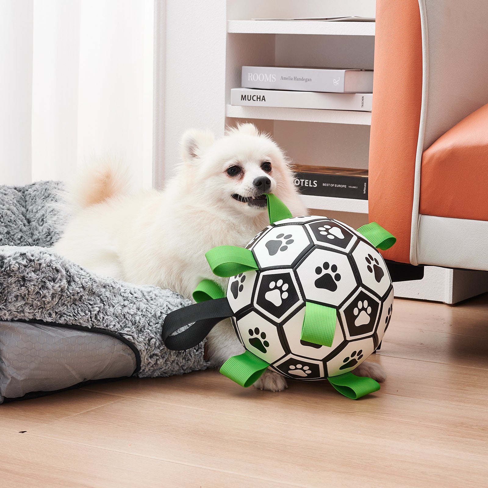 PawSoccer™ – Interactive Dog Football Toy, PU Training & Fetch Ball