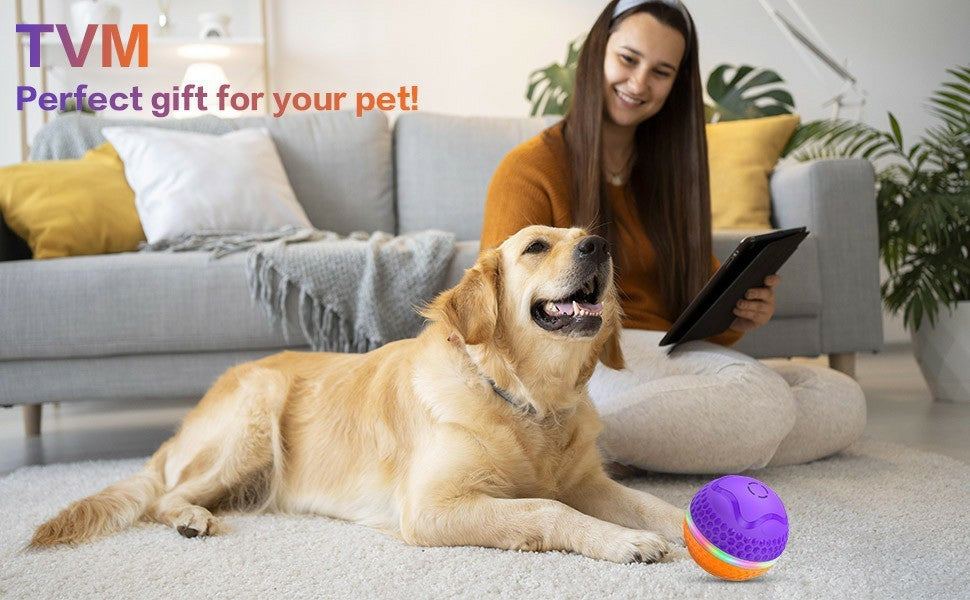 ChaseBuddy™ – Smart LED Dog Ball, USB Rechargeable Interactive Rolling Toy