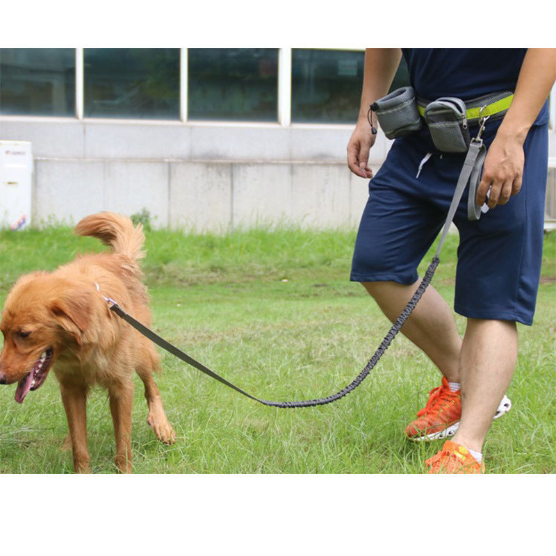 VelvetPaws™ FreeStride™ Adjustable Hands-Free Dog Leash Set