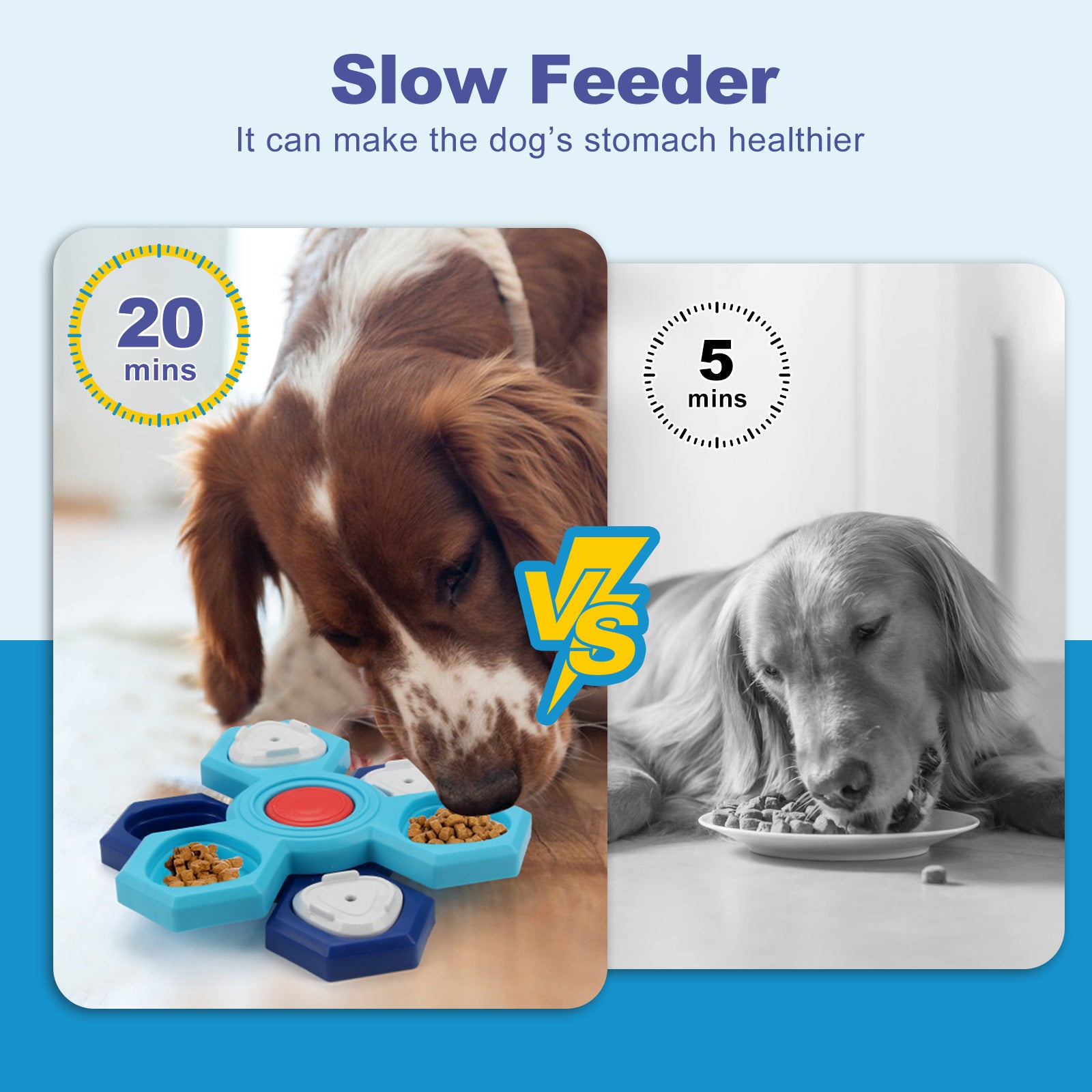 VelvetPaws™ 4-Layer IQ Feast™ Slow Feeder Bowl