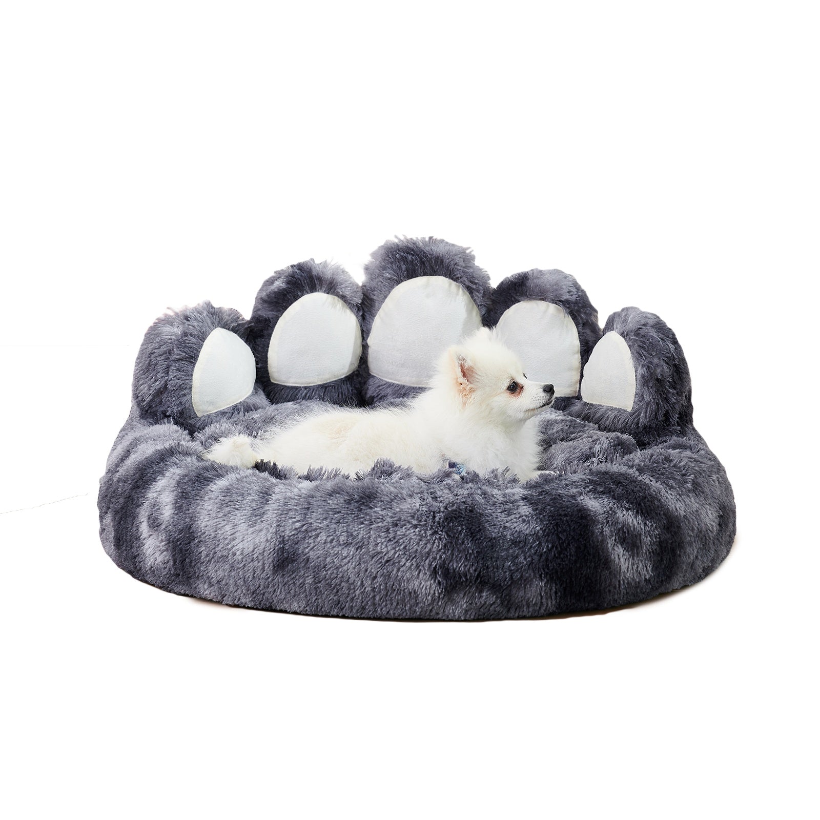 VelvetPaws™ Bear Paw Plush Bed – Cozy Decorative Pet Nest
