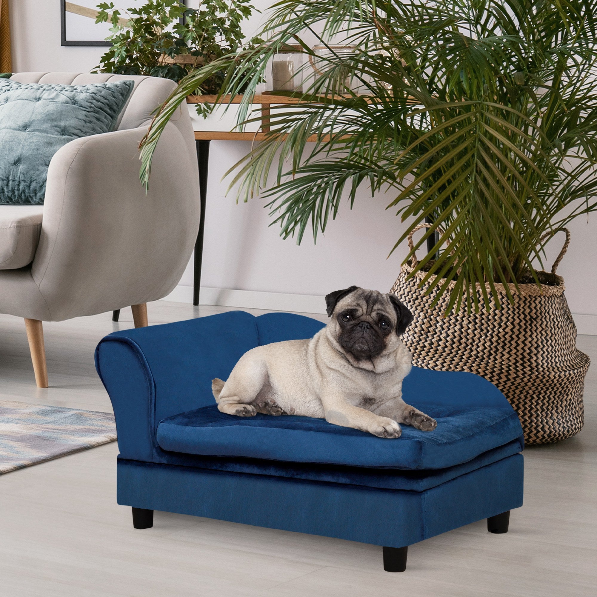 VelvetPaws™ Luxury Small Dog Sofa with Hidden Storage – Modern 3-Inch Foam Pet Couch (Blue)