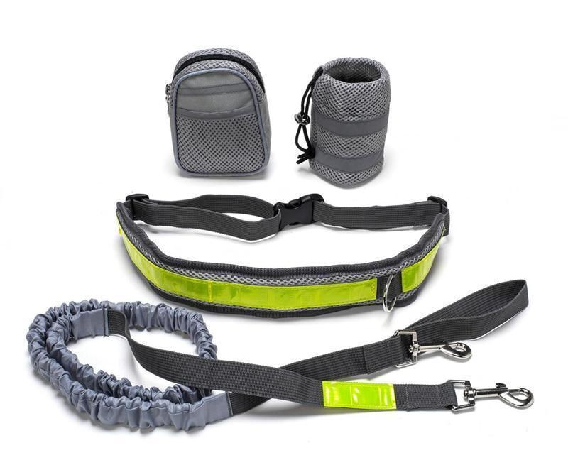 VelvetPaws™ FreeStride™ Adjustable Hands-Free Dog Leash Set