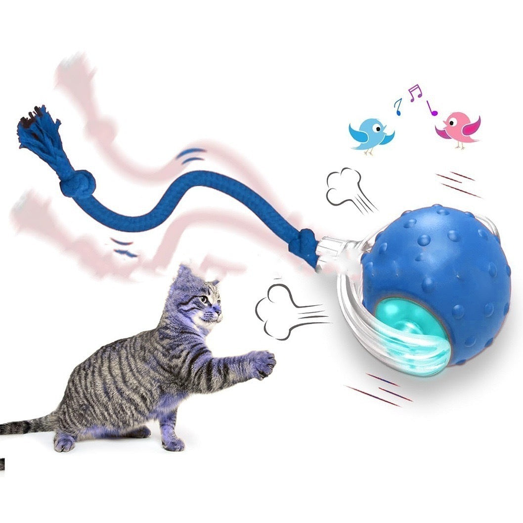 TurboPaw™ – fast, powerful, fun and Interactive Cat Rolling Ball