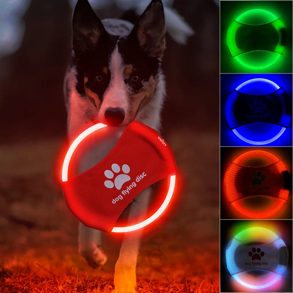 Dog Nighty LED Glowing Flying Disc – Rechargeable Frisbee Toy for Night Fetch