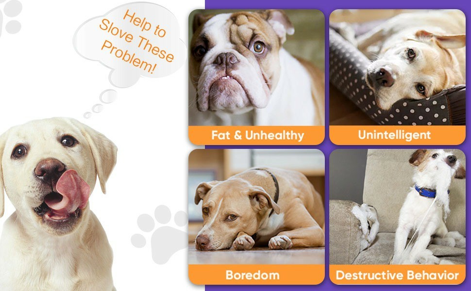 ChaseBuddy™ – Smart LED Dog Ball, USB Rechargeable Interactive Rolling Toy