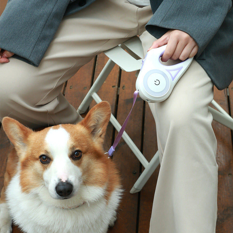 VelvetPaws™ GlowLeash™ Retractable Leash & Collar Set