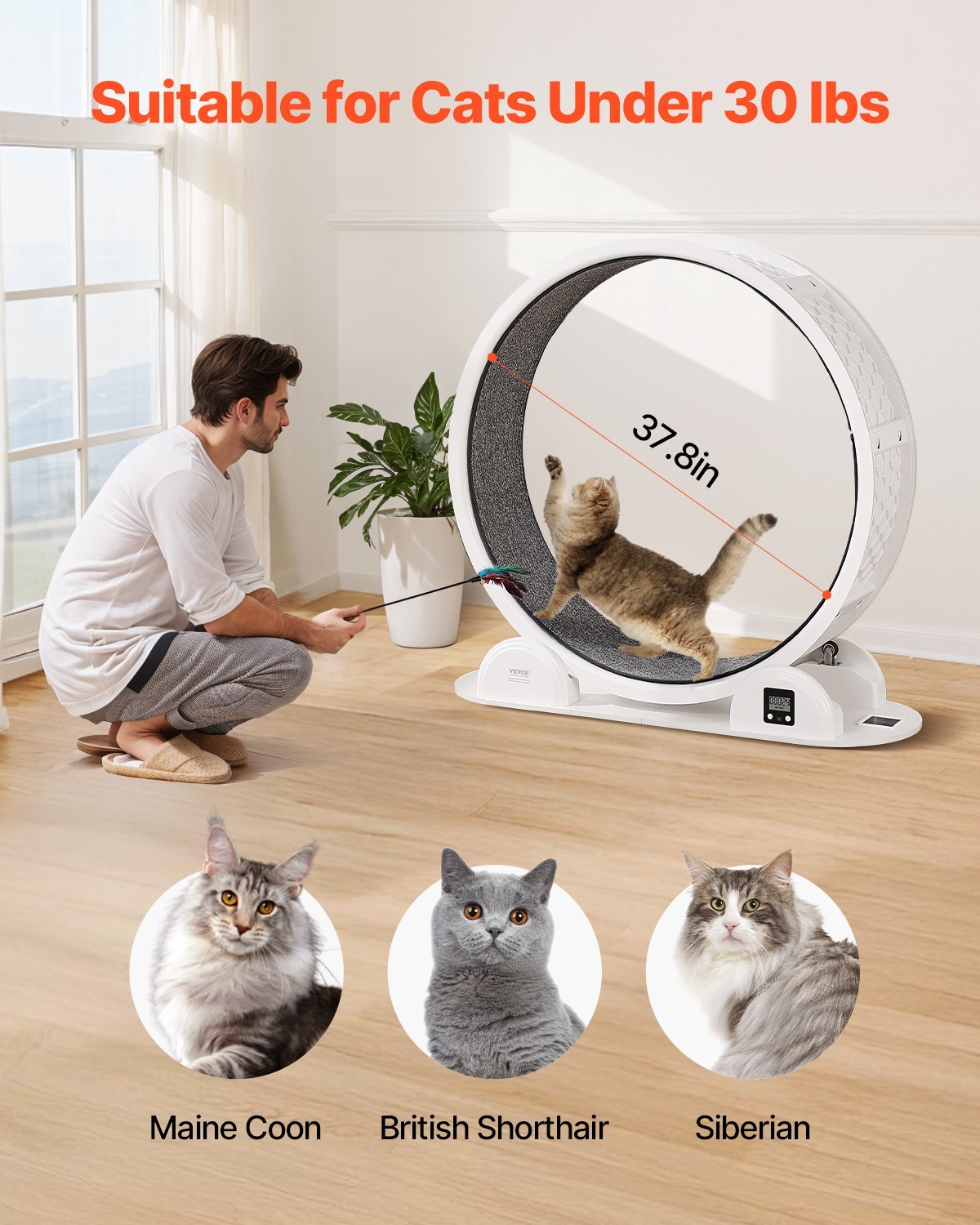 VelvetPaws™ SolarStride Smart Cat Wheel