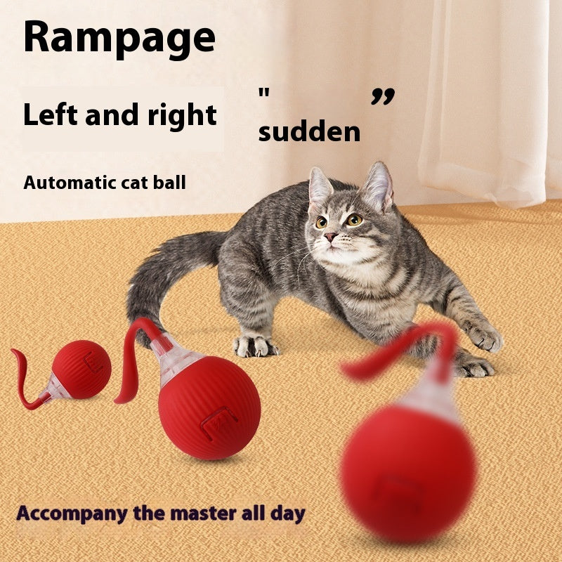 TurboPaw™ – fast, powerful, fun and Interactive Cat Rolling Ball