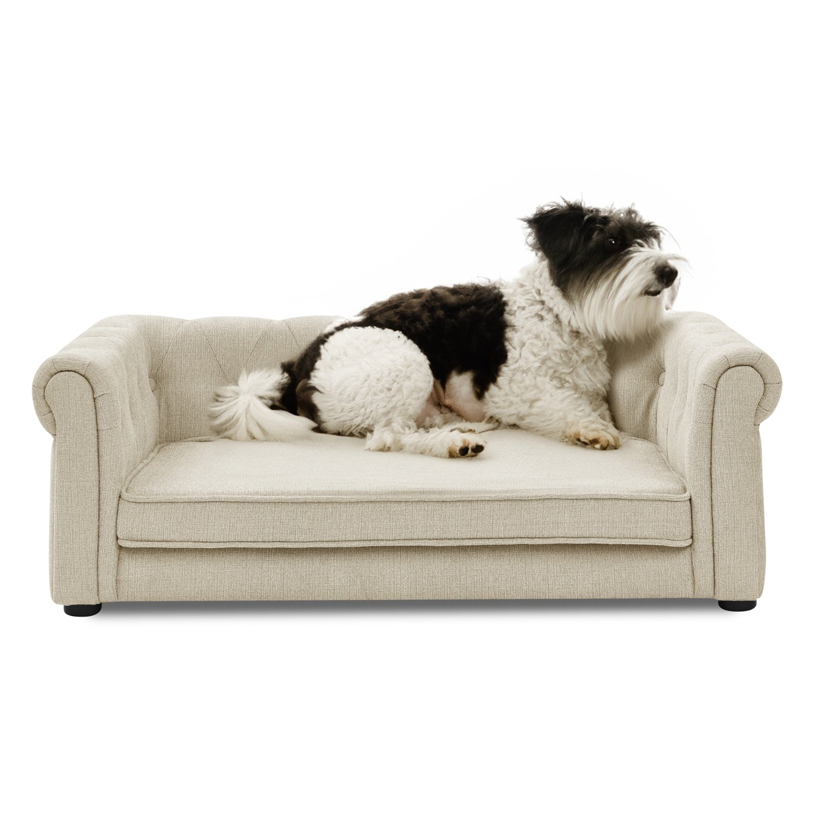VelvetPaws™ Elegant Elevated Rectangle Pet Sofa – Durable Dog Beds