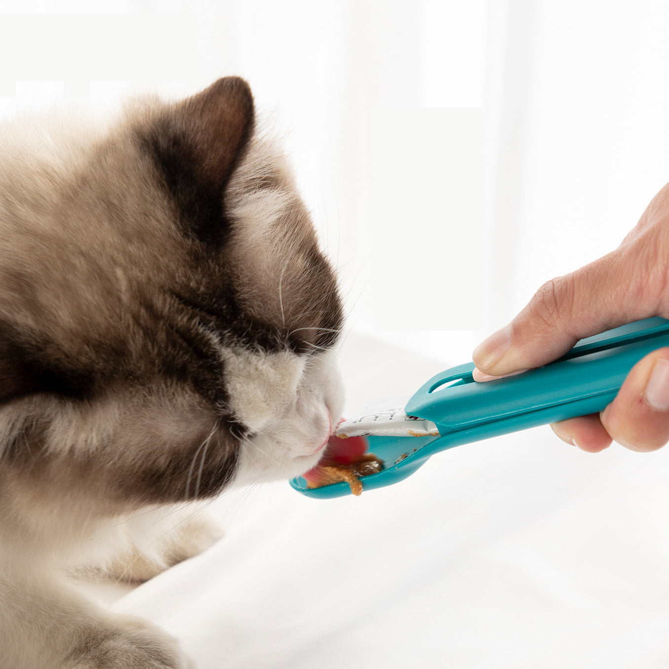 VelvetPaws™ HotCat™ Strip Spoon Feeder