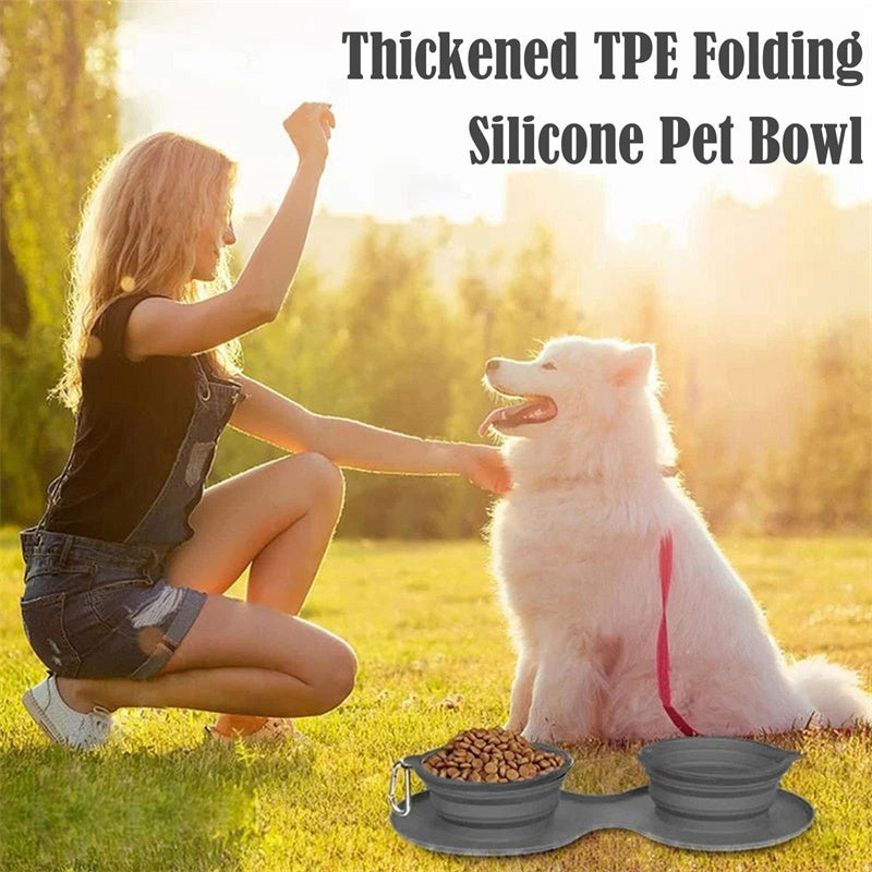 VelvetPaws™ FoldEase™ Double Collapsible Pet Bowl Set