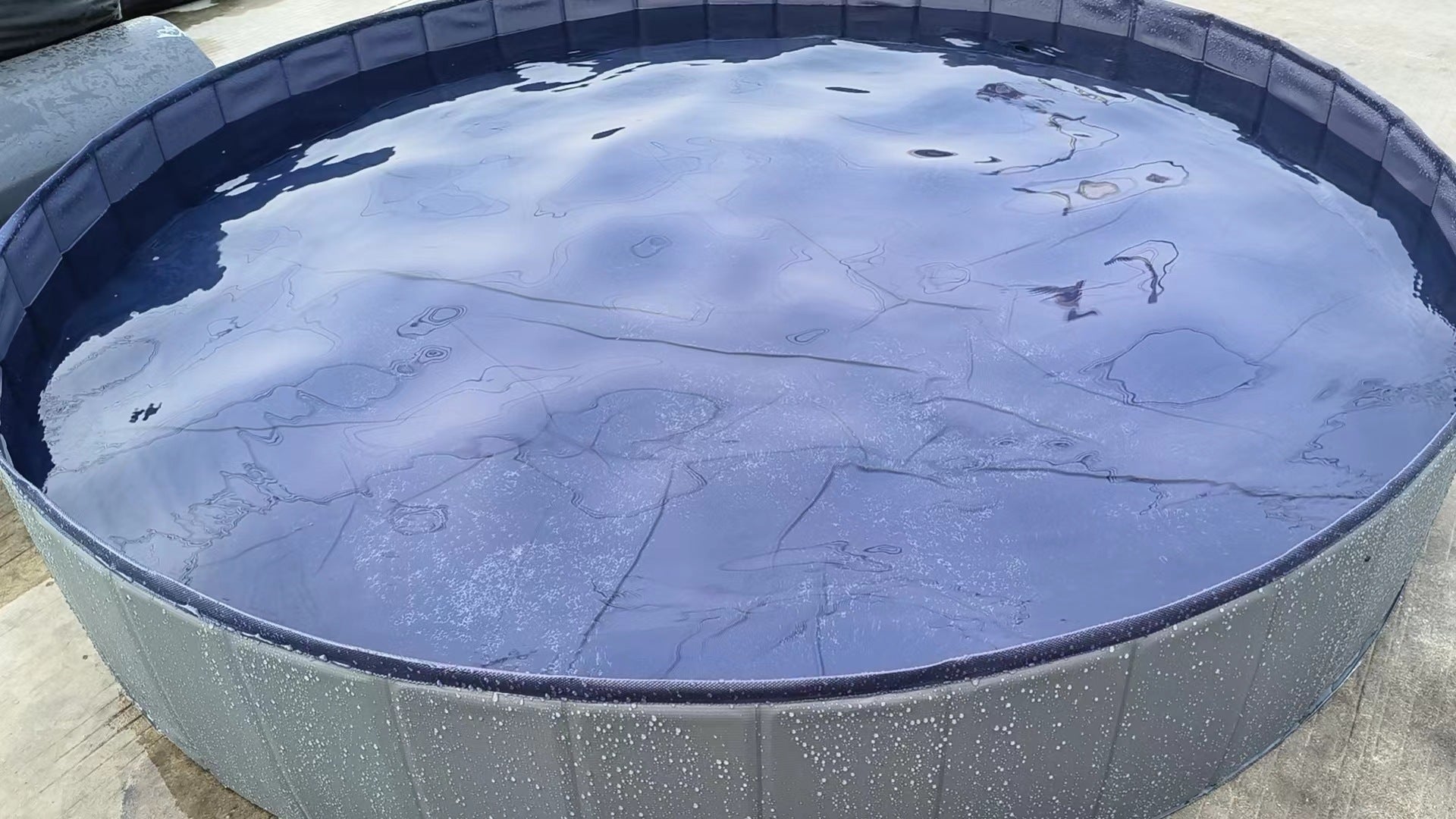 VelvetPaws™ FoldaSplash™ Portable Pet Pool