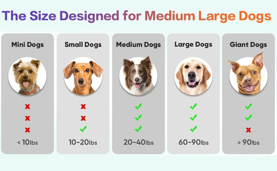 ChaseBuddy™ – Smart LED Dog Ball, USB Rechargeable Interactive Rolling Toy