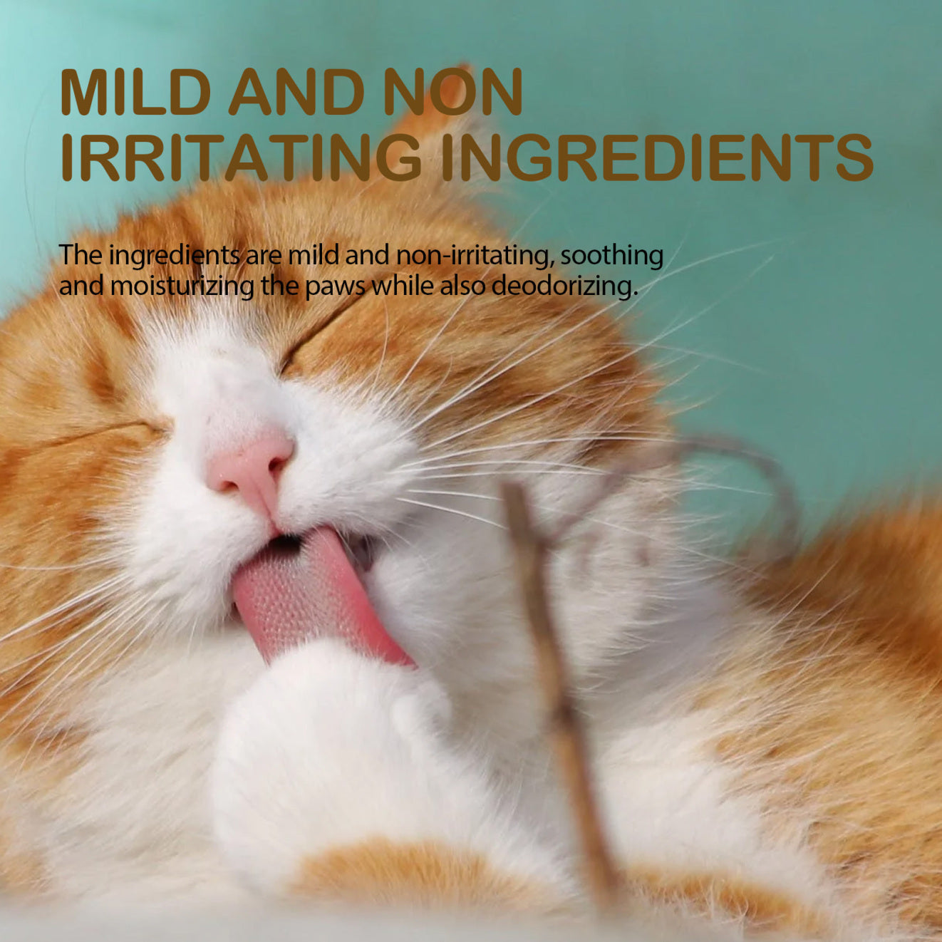 Yegbong™ Pet Avocado Foot Balm