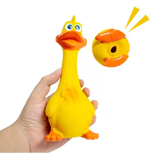 Quack’n’Play™ – Latex Screaming Duck Dog Toy